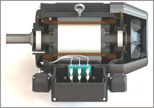 figure 4 side section of a three phase induction motor